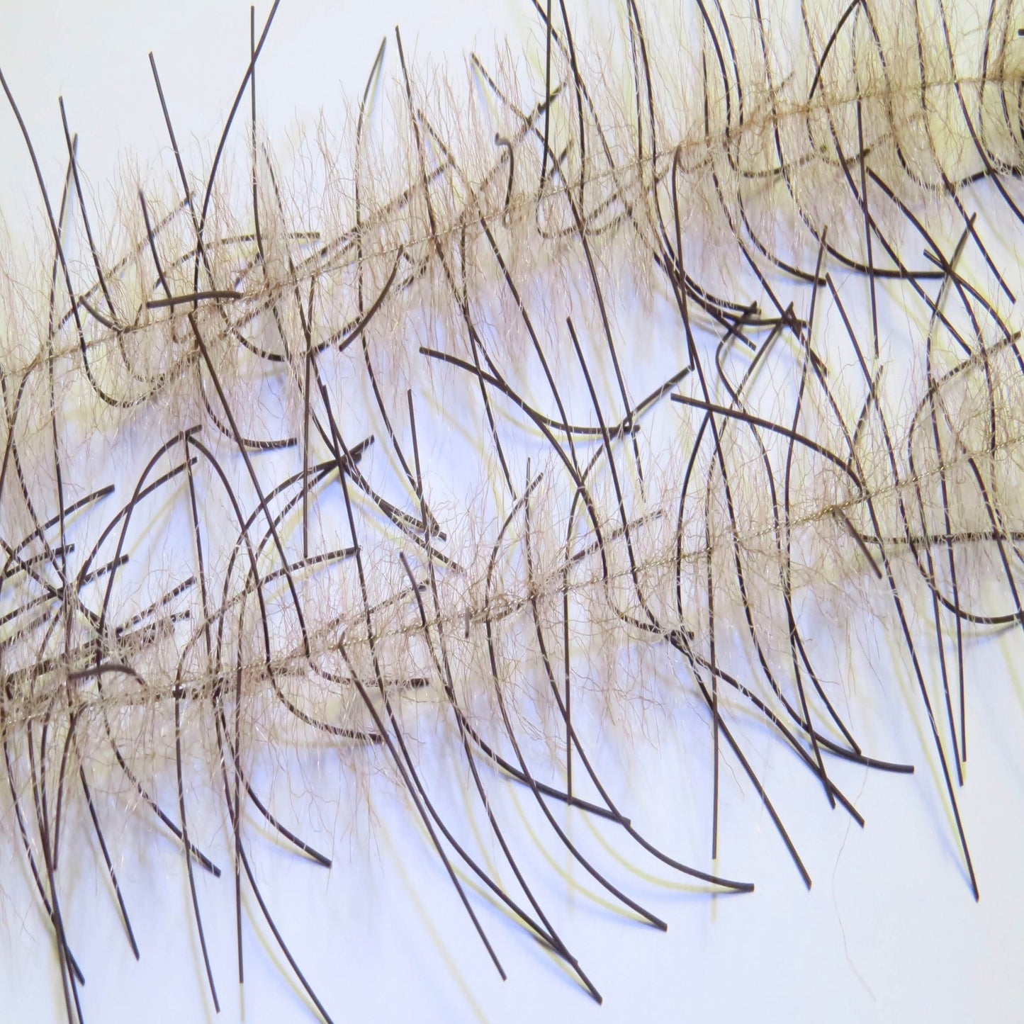 Lively Leg Crustacean Brush 1/2"