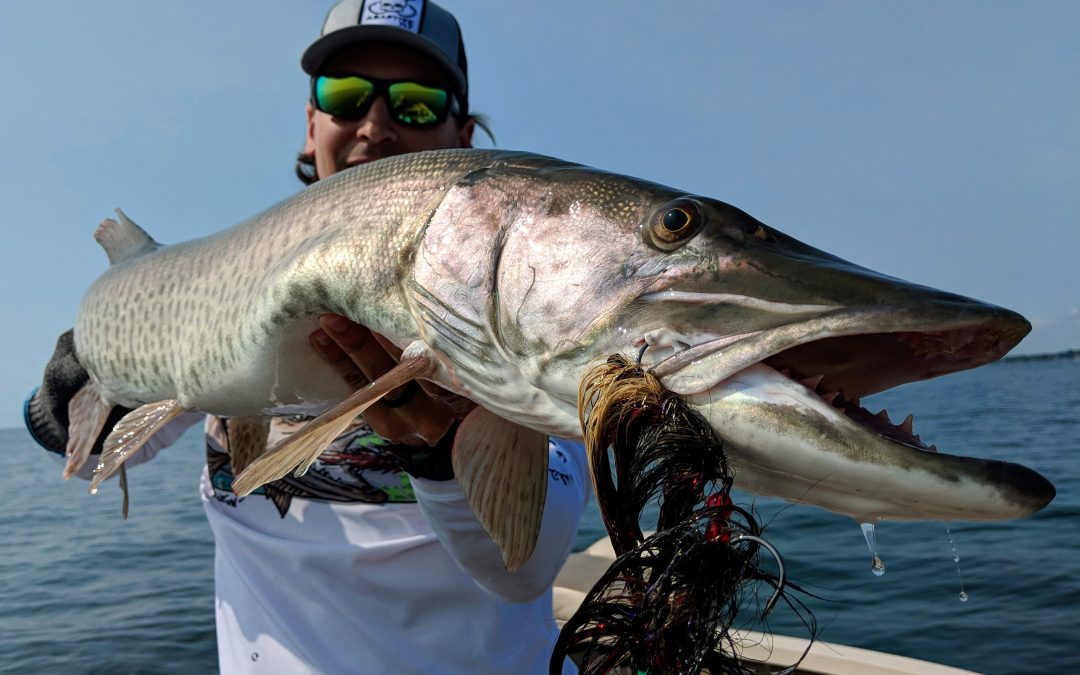 A Trout Fisherman’s Guide to Muskie Fishing