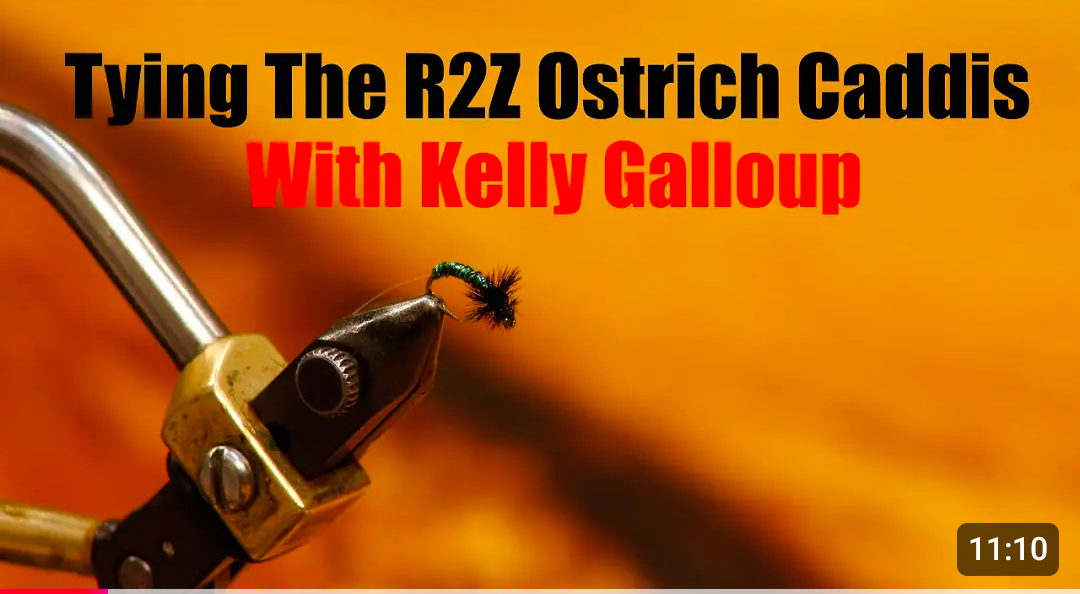 Tying the R2Z Ostrich Caddis