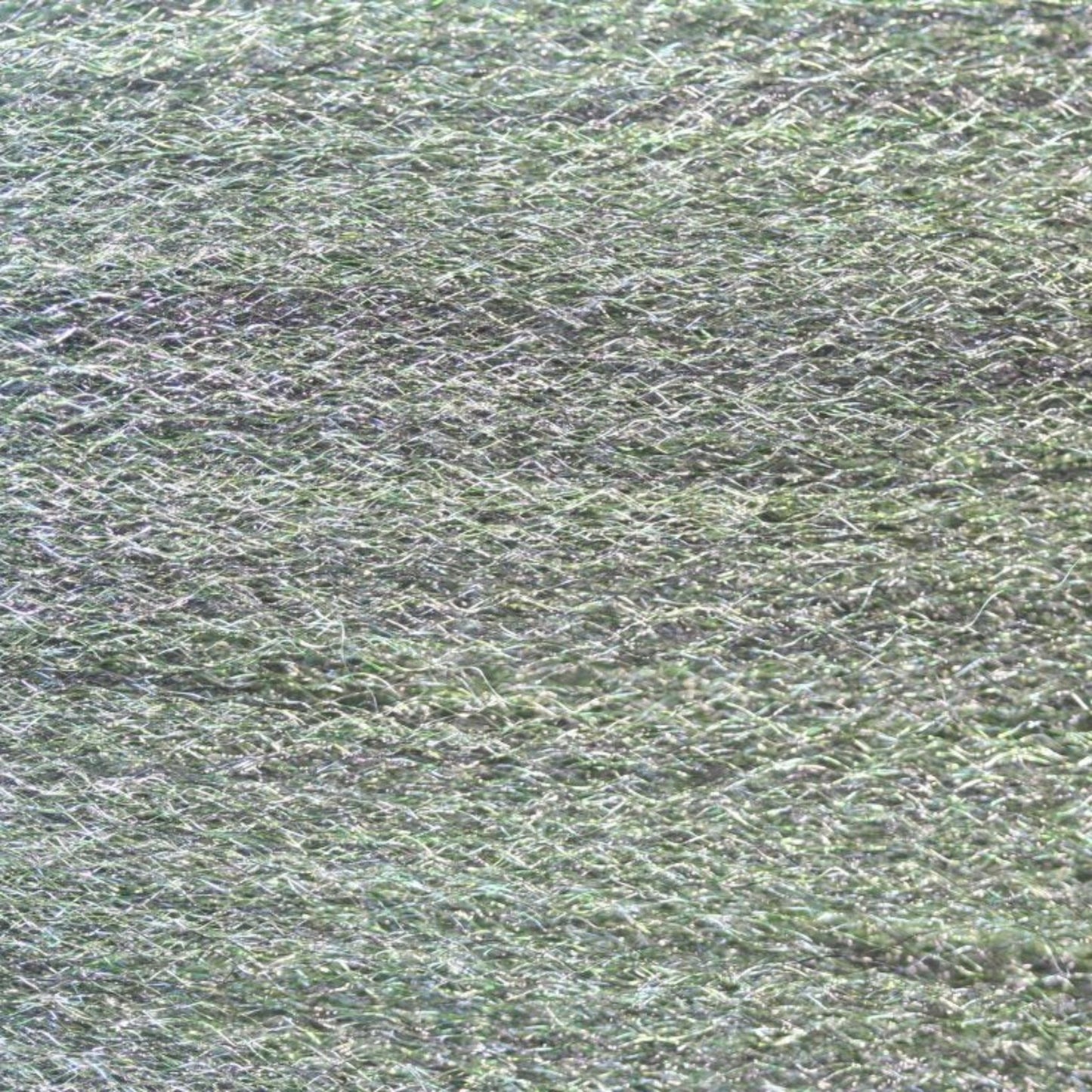 Frizz Fiber - SALE