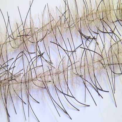 Lively Leg Crustacean Brush 1/2"